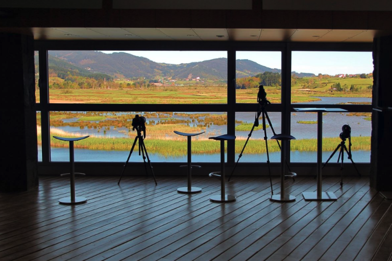 Urdaibai Bird Center panoramica